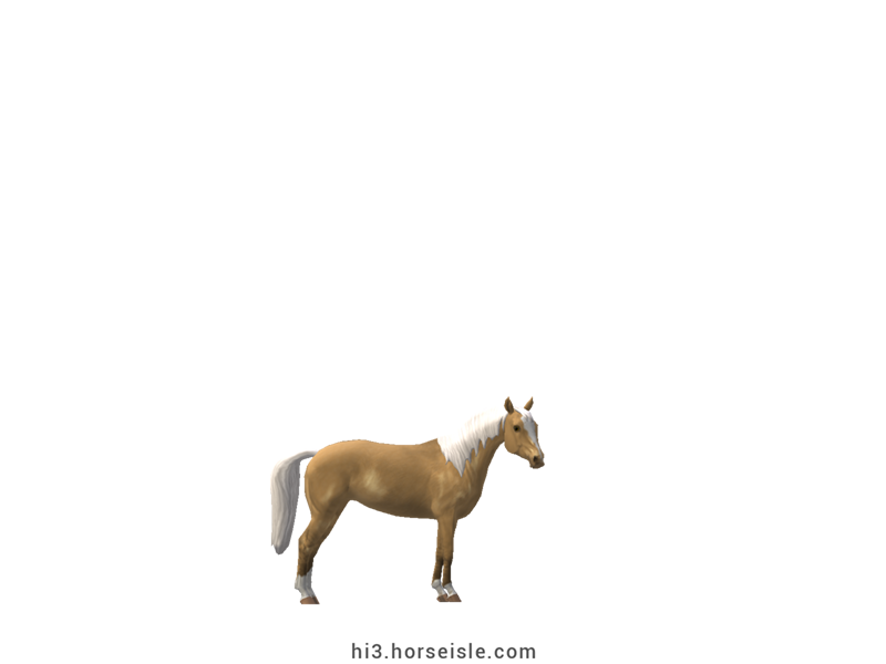American Miniature Horse Linebacked Bright Palomino Coat